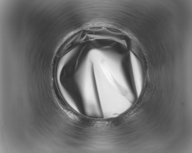 X0000064720438200603031620