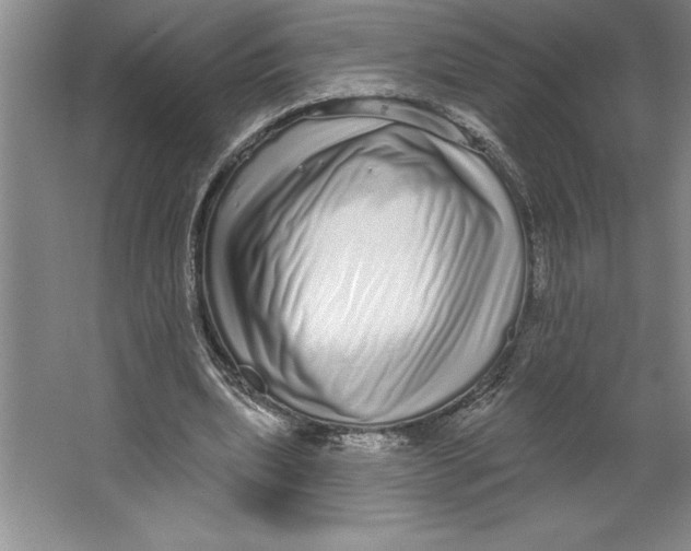 X0000064720439200603031620