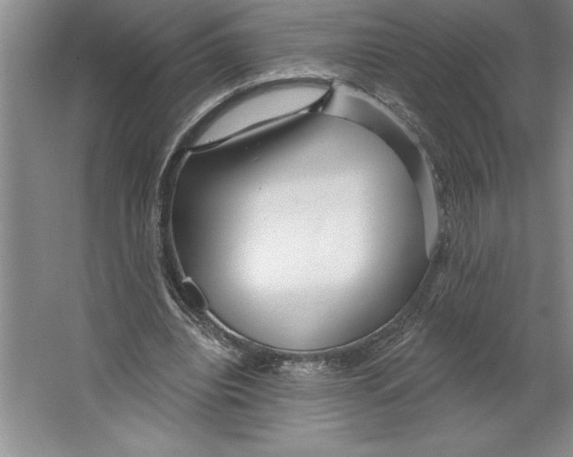 X0000064720440200603031620