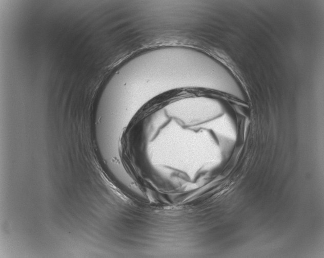 X0000064720441200603031620