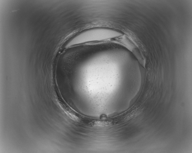 X0000064720442200603031620
