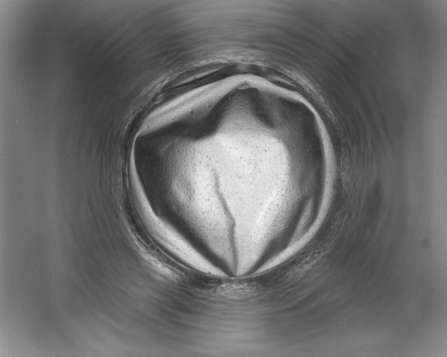 X0000064720445200603031620