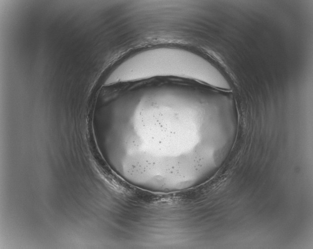 X0000064720447200603031620