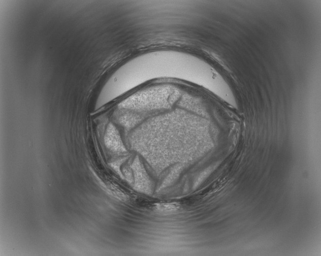 X0000064720451200603031620