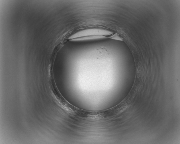 X0000064720454200603031620
