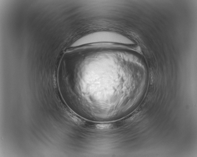 X0000064720457200603031620