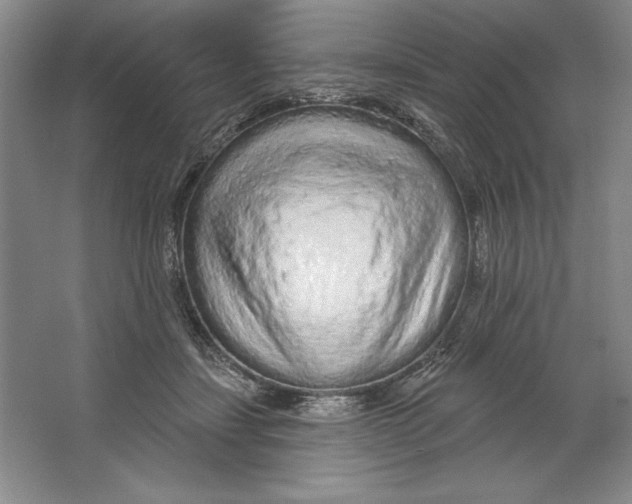 X0000064720459200603031620