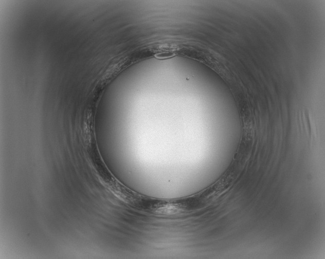 X0000064720460200603031620