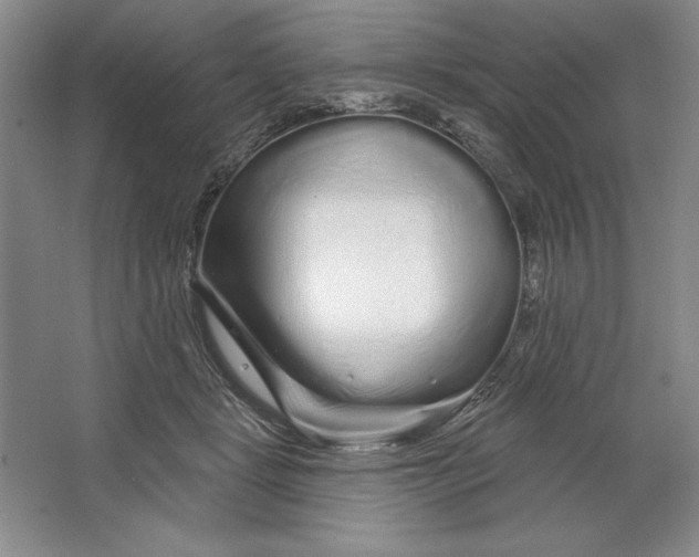 X0000064720461200603031620