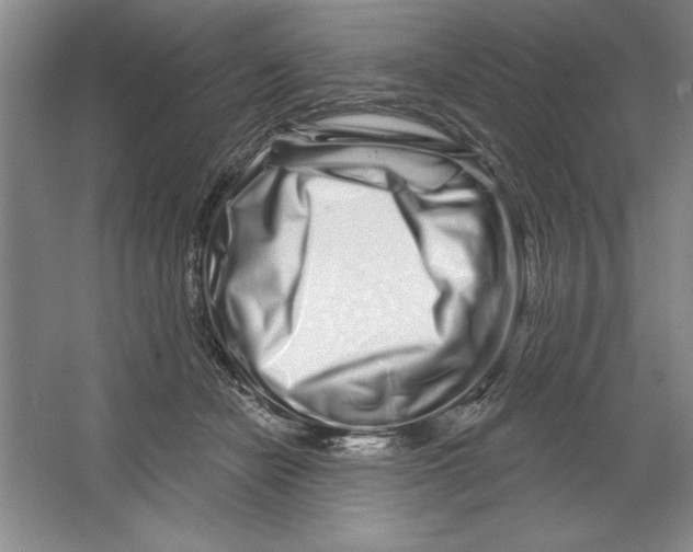 X0000064720462200603031620