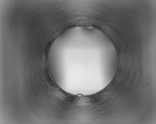 X0000064720463200603031620