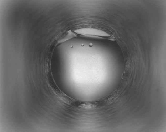 X0000064720464200603031620