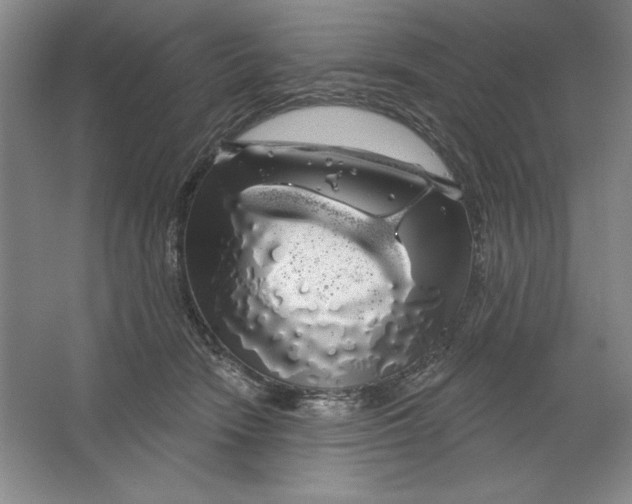 X0000064720466200603031620