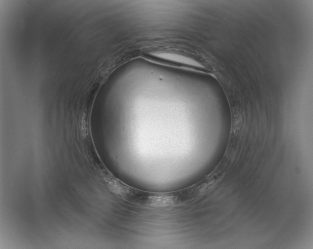 X0000064720469200603031620