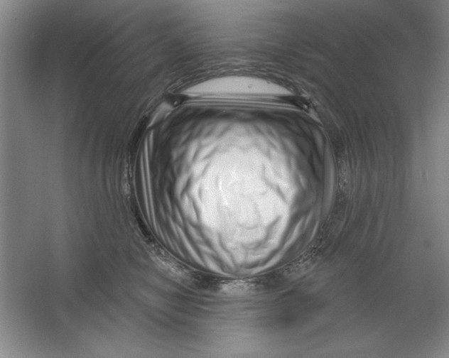 X0000064720470200603031620