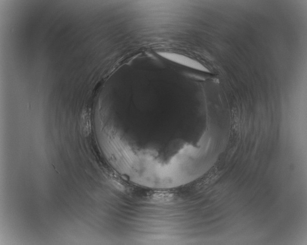 X0000064720471200603031620