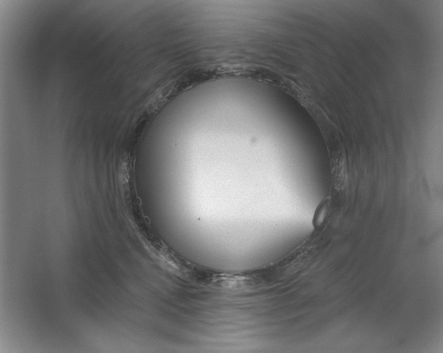 X0000064720472200603031620