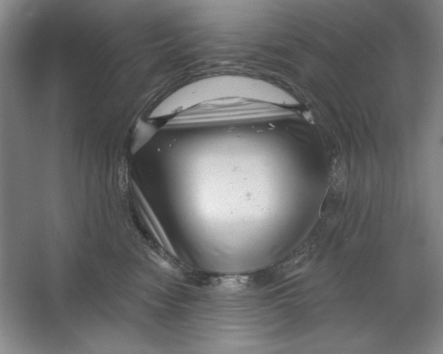 X0000064720474200603031620