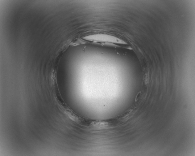 X0000064720476200603031620