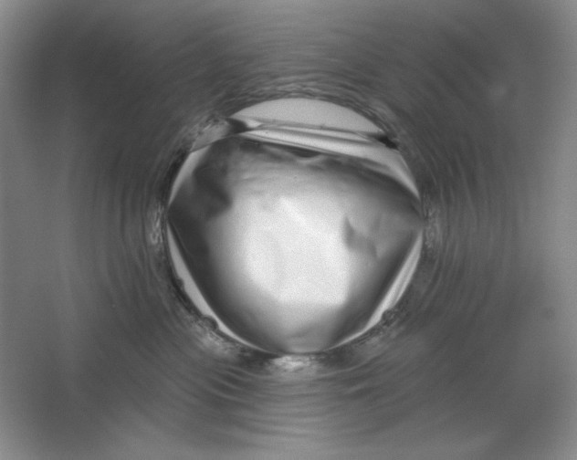 X0000064720477200603031620