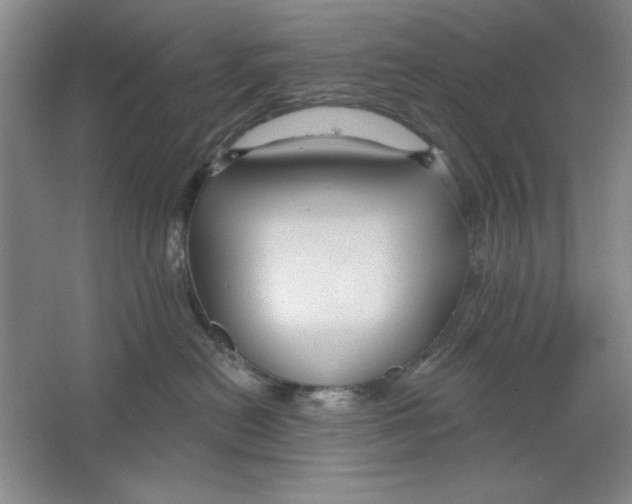 X0000064720478200603031620