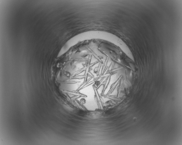 X0000064720479200603031620