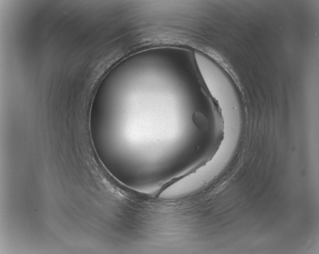 X0000064720481200603031620