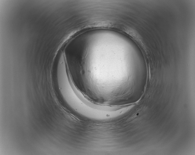 X0000064720483200603031620
