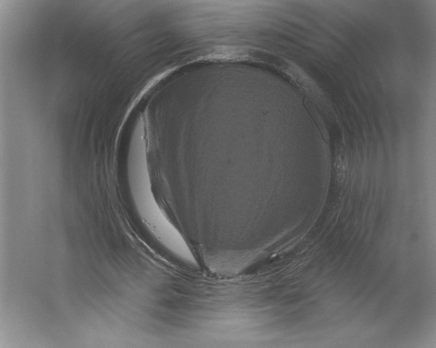 X0000064720484200603031619