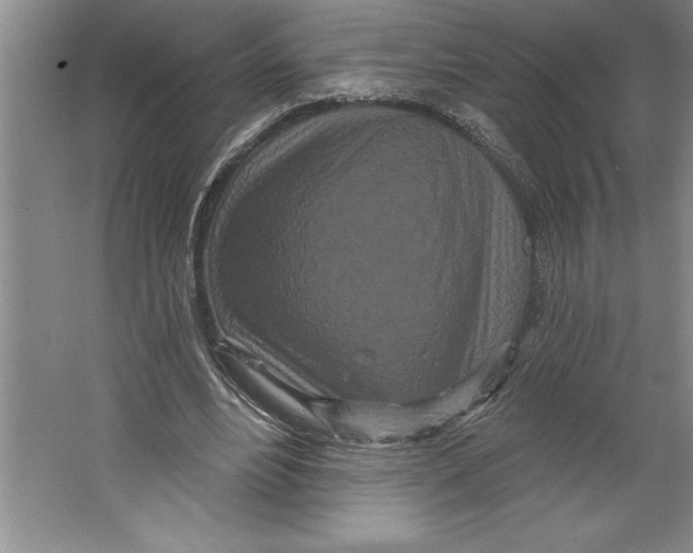 X0000064720488200603031619