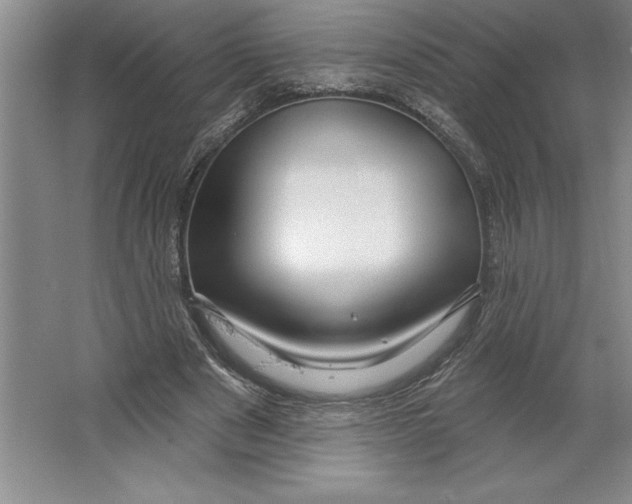 X0000064720489200603031619