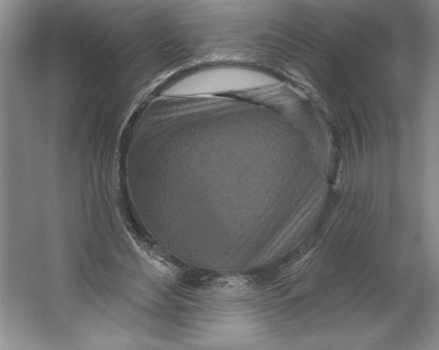 X0000064720492200603031619