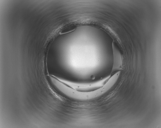 X0000064720493200603031619