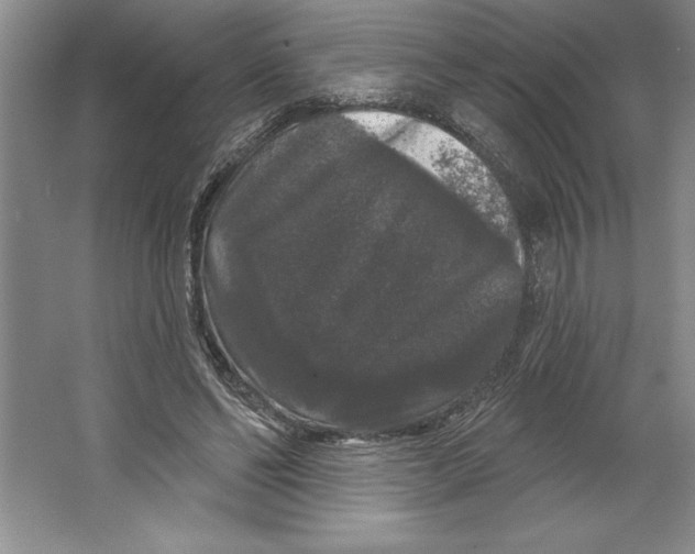 X0000064720494200603031619
