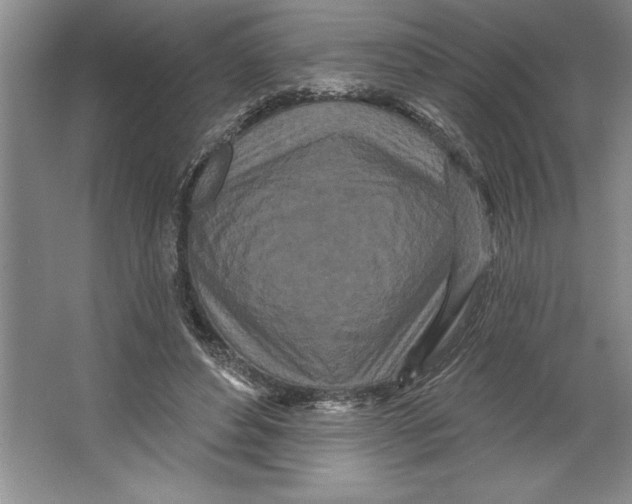 X0000064720496200603031619