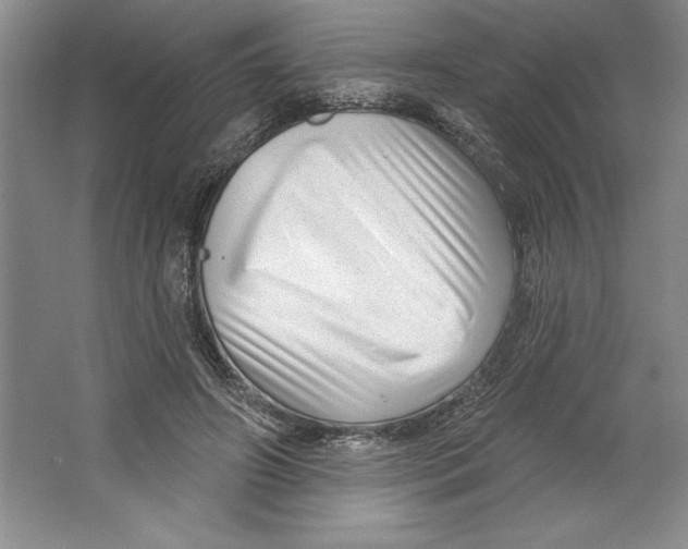 X0000064720498200603031619