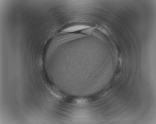 X0000064720500200603031619