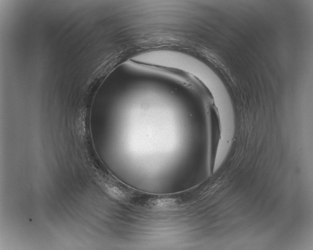 X0000064720501200603031619