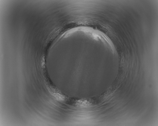 X0000064720502200603031619