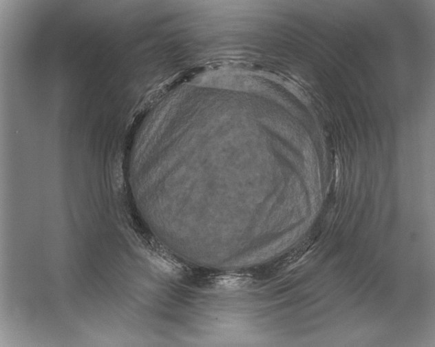 X0000064720504200603031619