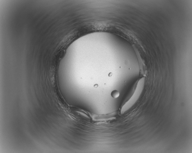 X0000064720505200603031619
