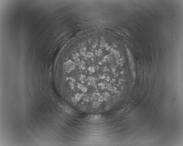 X0000064720507200603031619