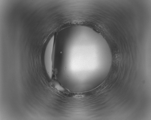 X0000064720508200603031619