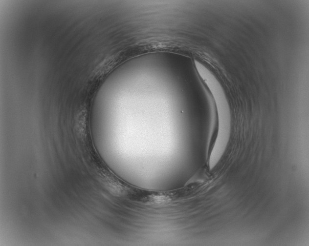 X0000064720509200603031619