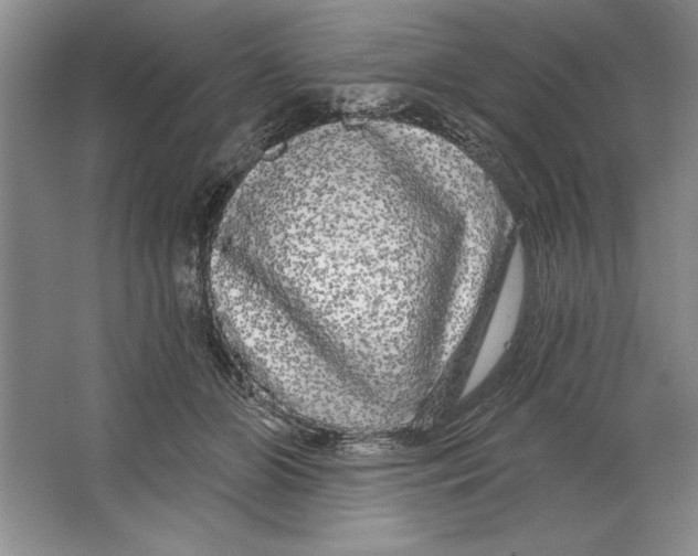 X0000064720510200603031619