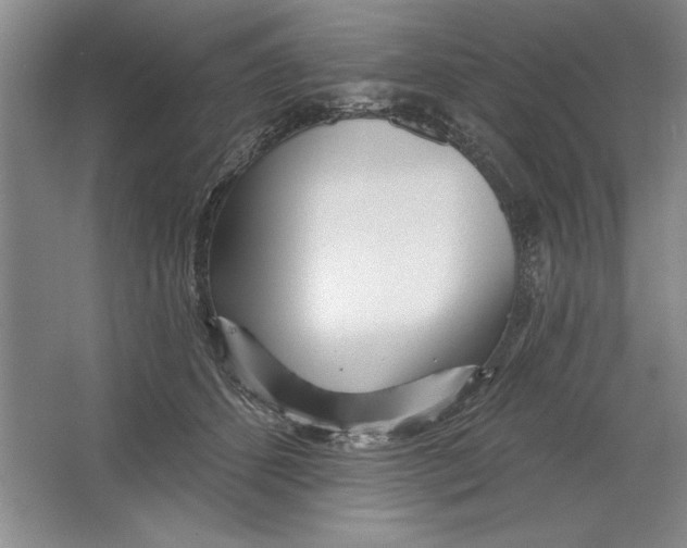 X0000064720512200603031619