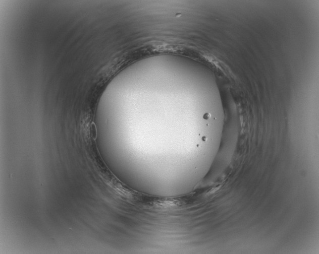 X0000064720513200603031619