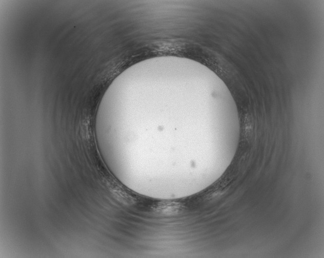 X0000064720514200603031619