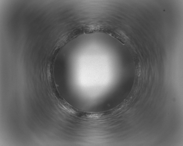 X0000064720516200603031619
