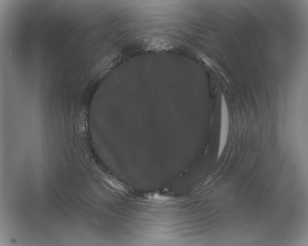 X0000064720517200603031619